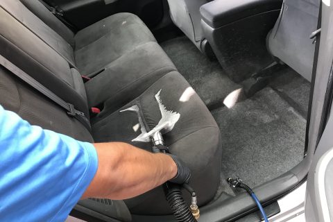 interior shampoo extraction